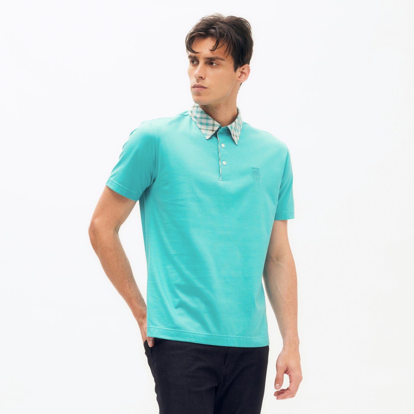 Seasonal Bias Check Collar Polo Shirt