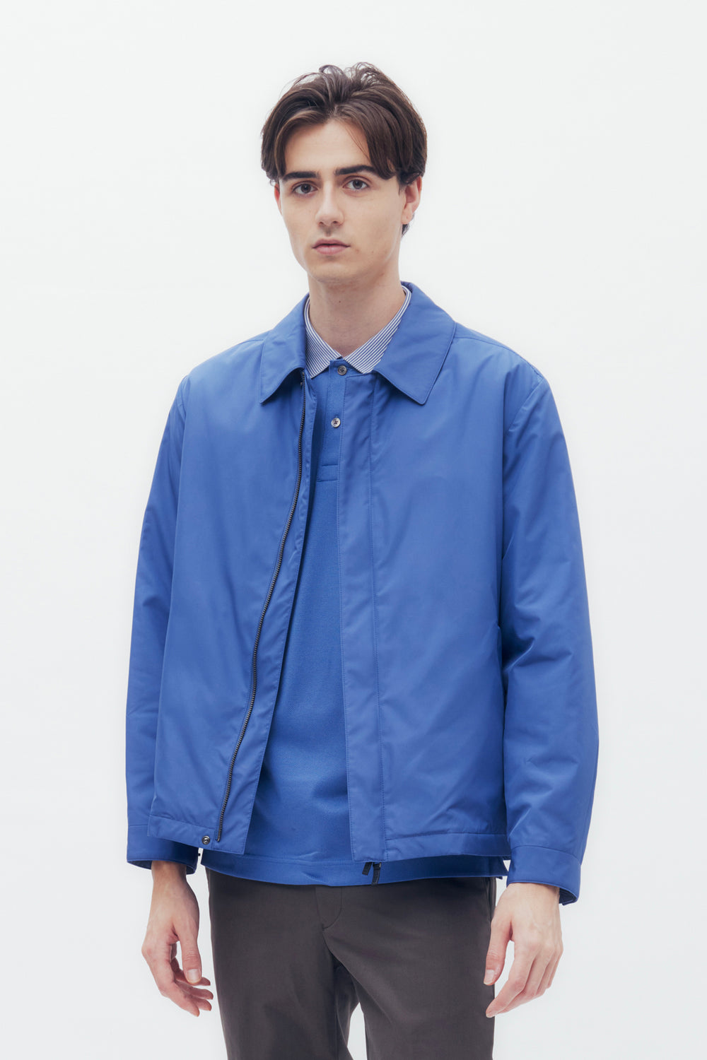 Point Collar Blouson Jacket